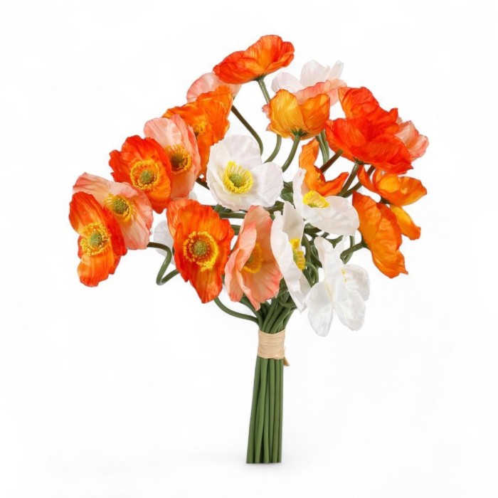 BUNDLE ANEMONE X 24 ARANCIO